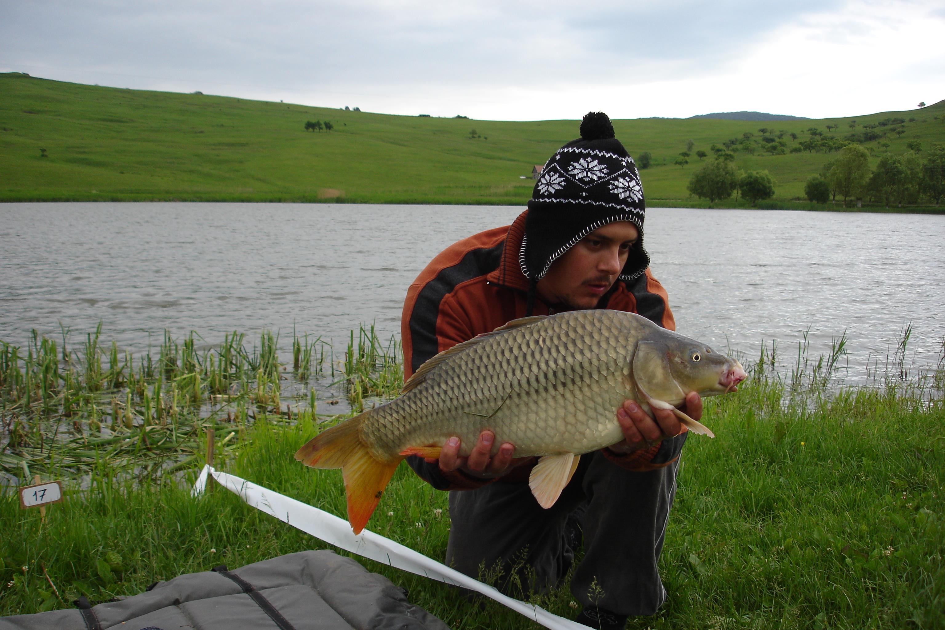 Ruganesti 24-27.05.2012 - DSC08325.JPG